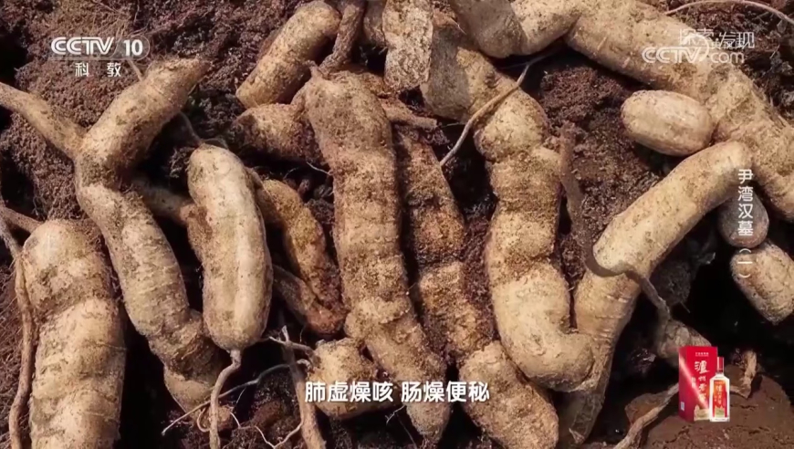网传胡塞武装感谢中国？疑点不少,148288大赢家一肖一码1482888,整体规划执行讲解_静态版V13.31